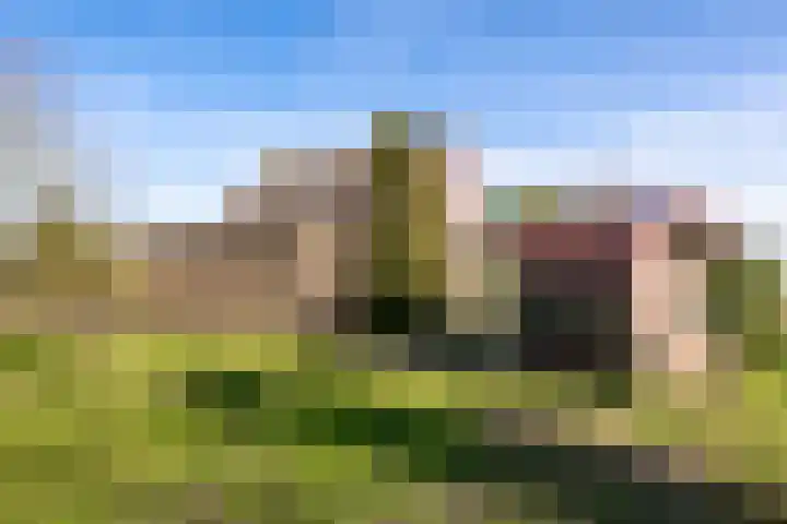 Meester van Coothstraat 57 B Lith thumbnail 27