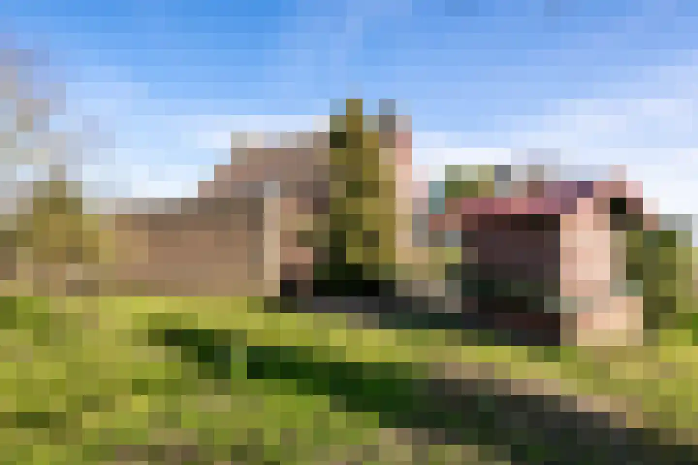 Meester van Coothstraat 57 B Lith thumbnail 27