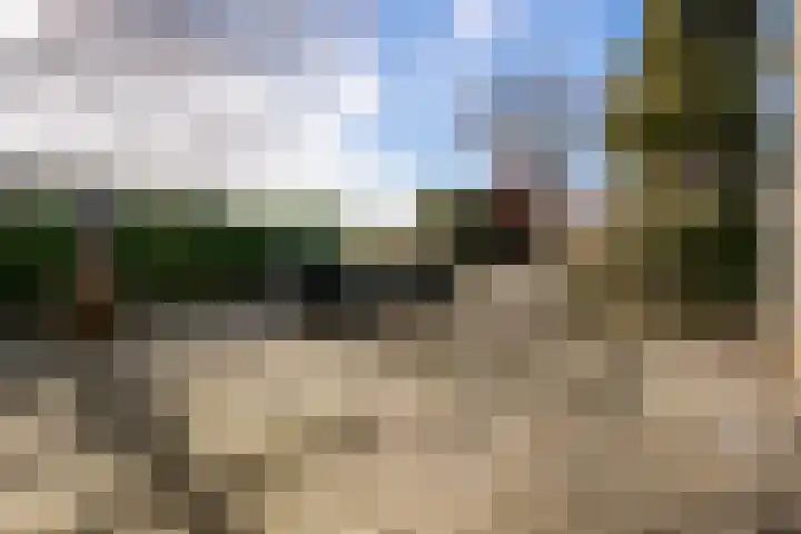 Meester van Coothstraat 57 B Lith thumbnail 4