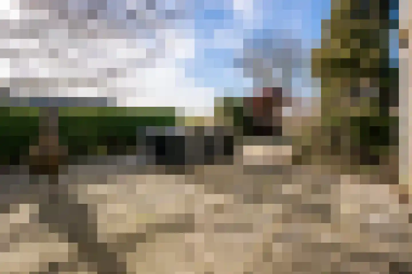 Meester van Coothstraat 57 B Lith thumbnail 4