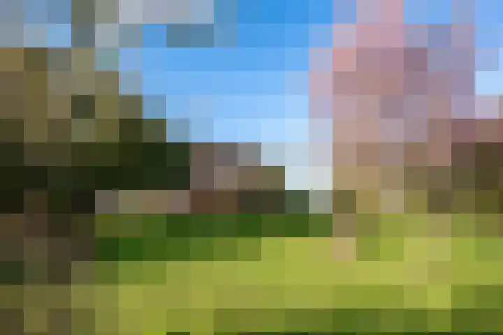 Meester van Coothstraat 57 B Lith thumbnail 5