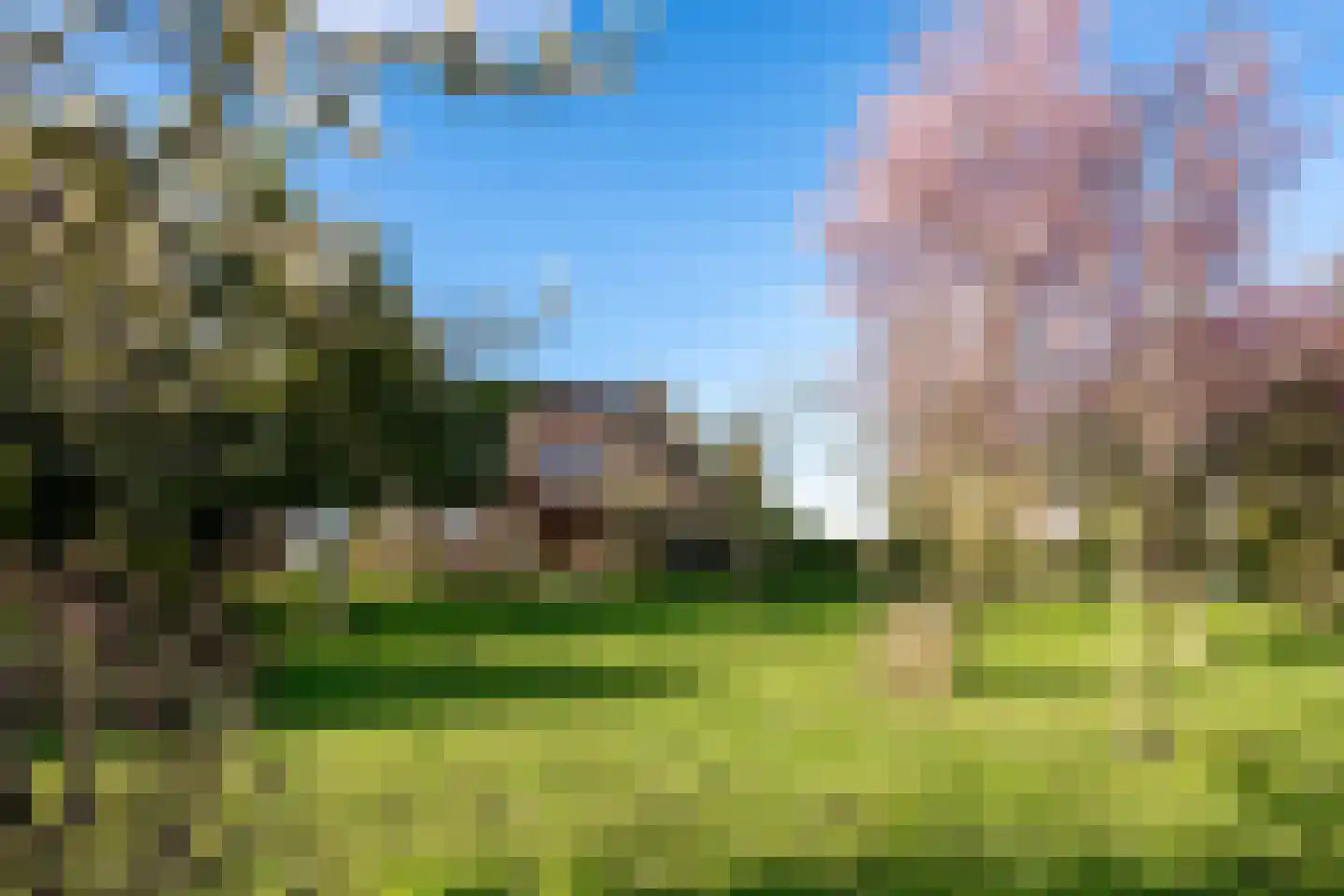 Meester van Coothstraat 57 B Lith thumbnail 5
