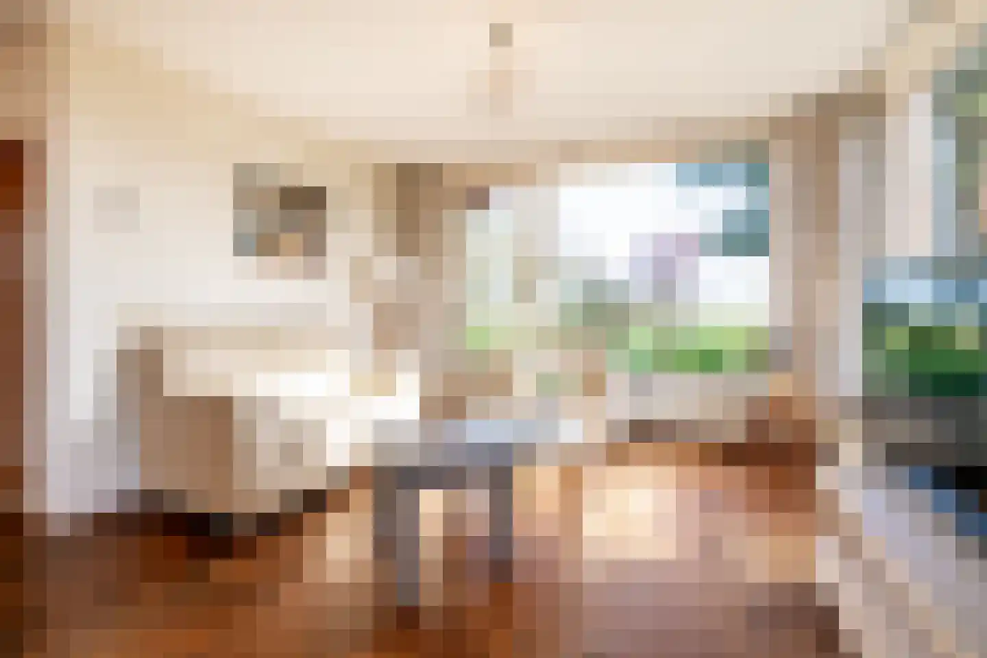Meester van Coothstraat 57 B Lith thumbnail 8