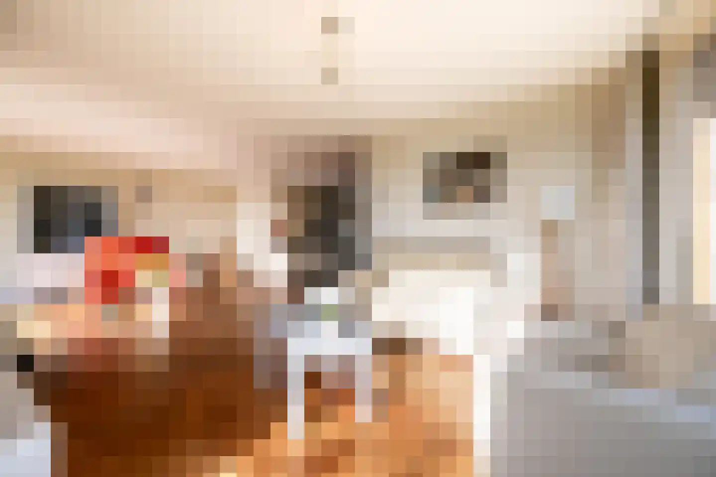 Meester van Coothstraat 57 B Lith thumbnail 9