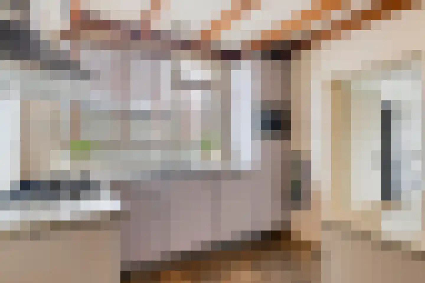 Meester van Coothstraat 8 A Lith thumbnail 11