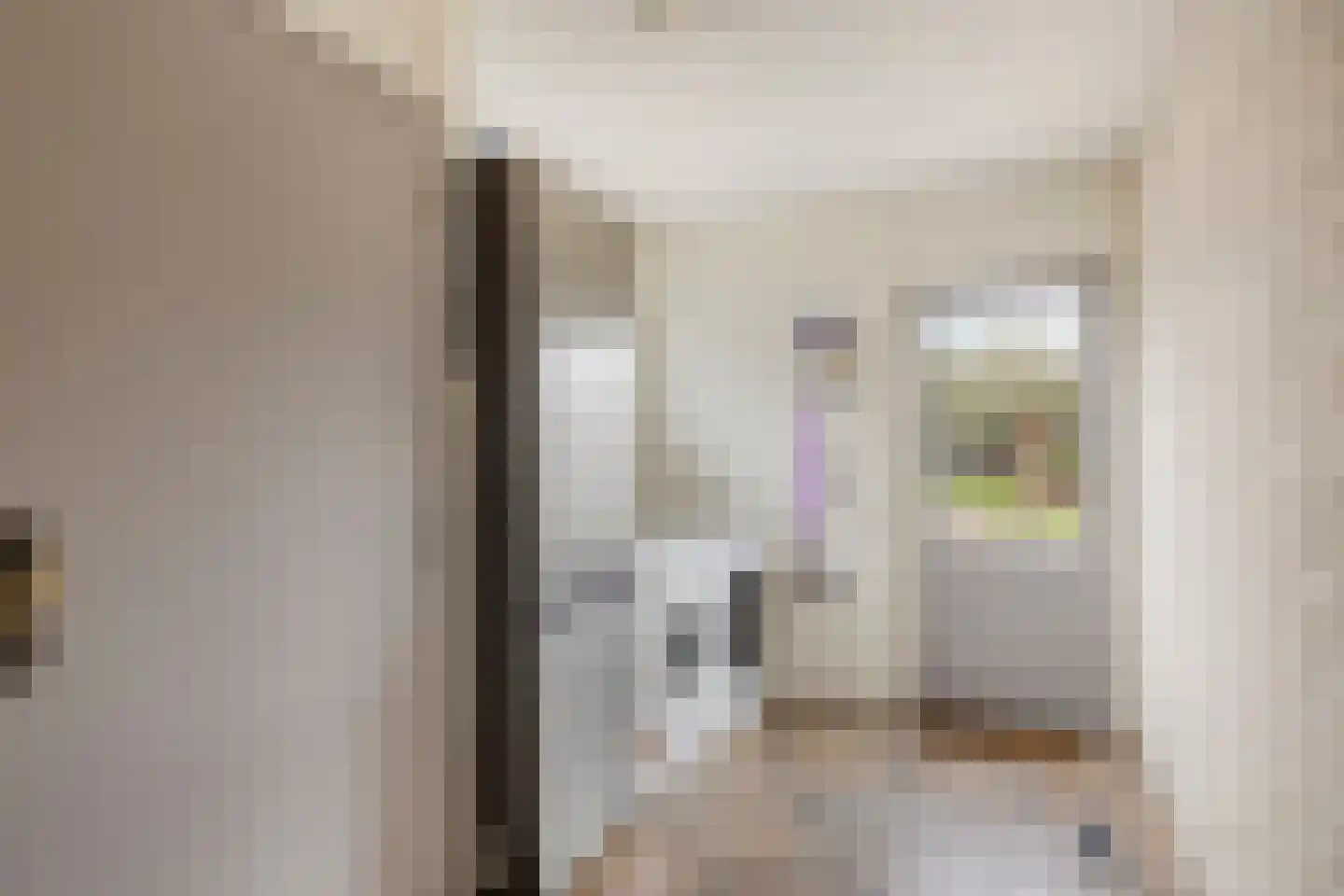 Meester van Coothstraat 8 A Lith thumbnail 13