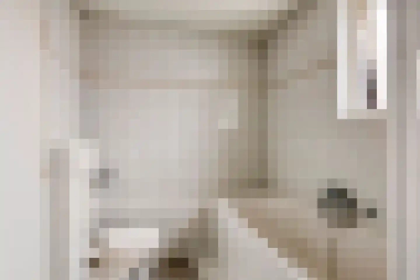 Meester van Coothstraat 8 A Lith thumbnail 21