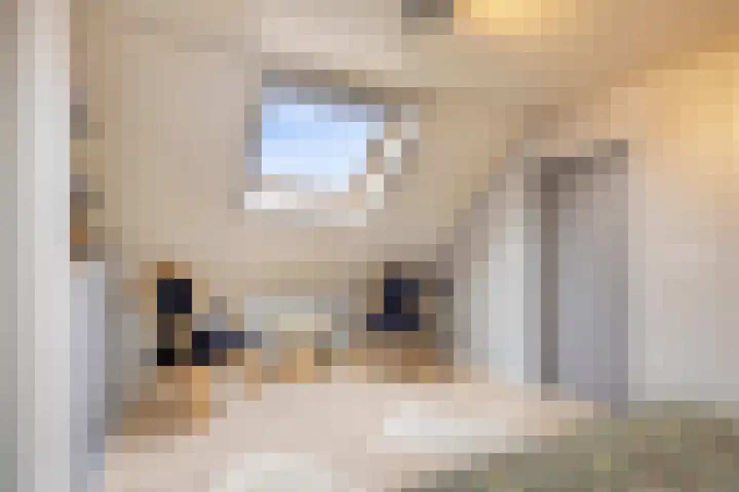 Meester van Coothstraat 8 A Lith thumbnail 27
