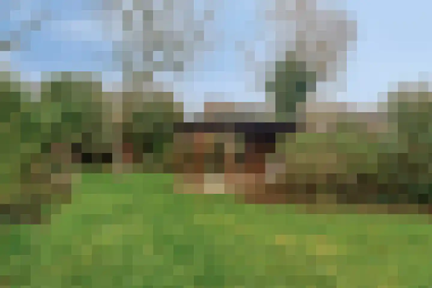 Meester van Coothstraat 8 A Lith thumbnail 32