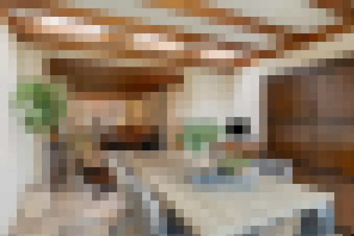 Meester van Coothstraat 8 A Lith thumbnail 6