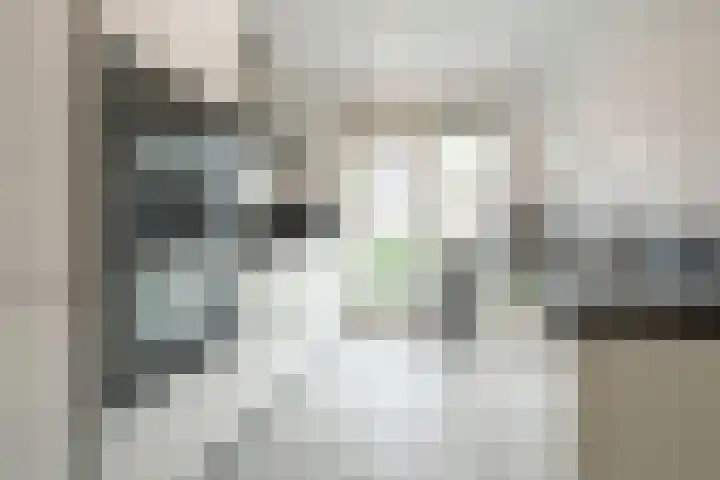 Meester van Damweg 12 Renkum thumbnail 10