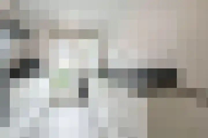 Meester van Damweg 12 Renkum thumbnail 11