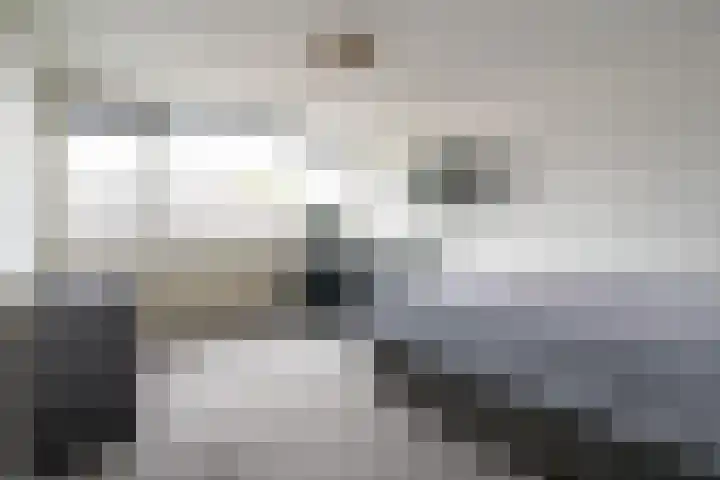 Meester van Damweg 12 Renkum thumbnail 14