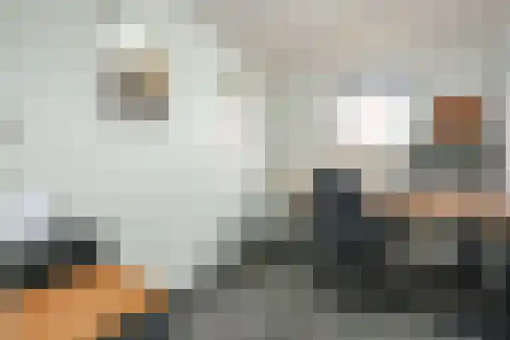 Meester van Damweg 12 Renkum thumbnail 15