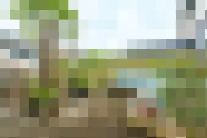 Meester van Damweg 12 Renkum thumbnail 20