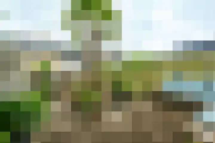 Meester van Damweg 12 Renkum thumbnail 21