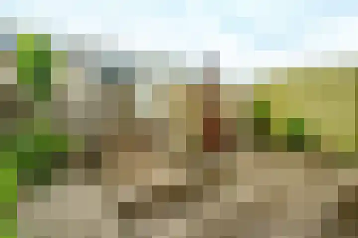 Meester van Damweg 12 Renkum thumbnail 22