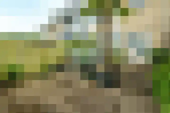 Meester van Damweg 12 Renkum thumbnail 23