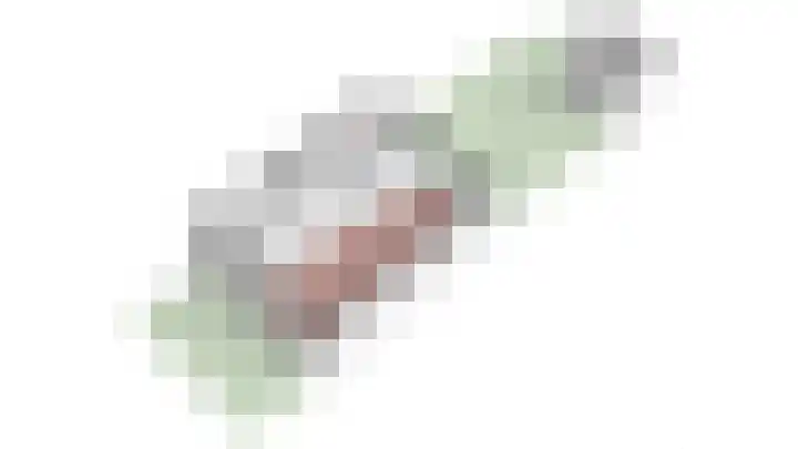 Meester van Damweg 12 Renkum thumbnail 31
