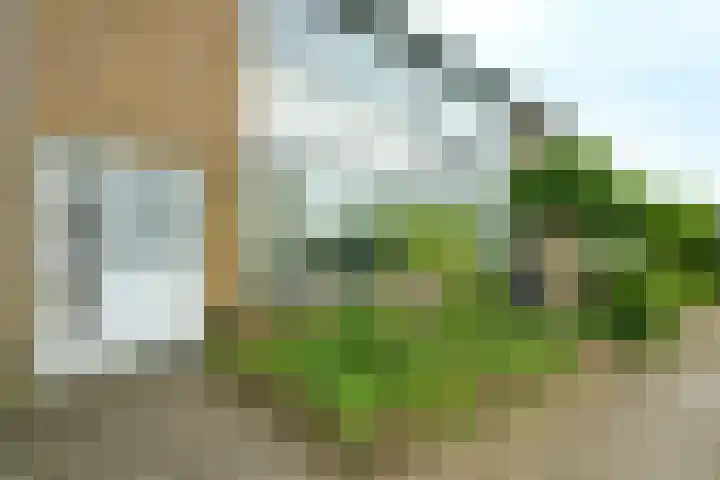 Meester van Damweg 12 Renkum thumbnail 4