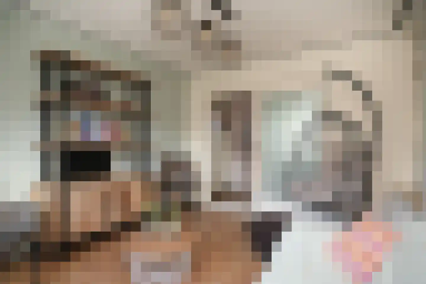 Meester van de Venstraat 12 Maasbommel thumbnail 10