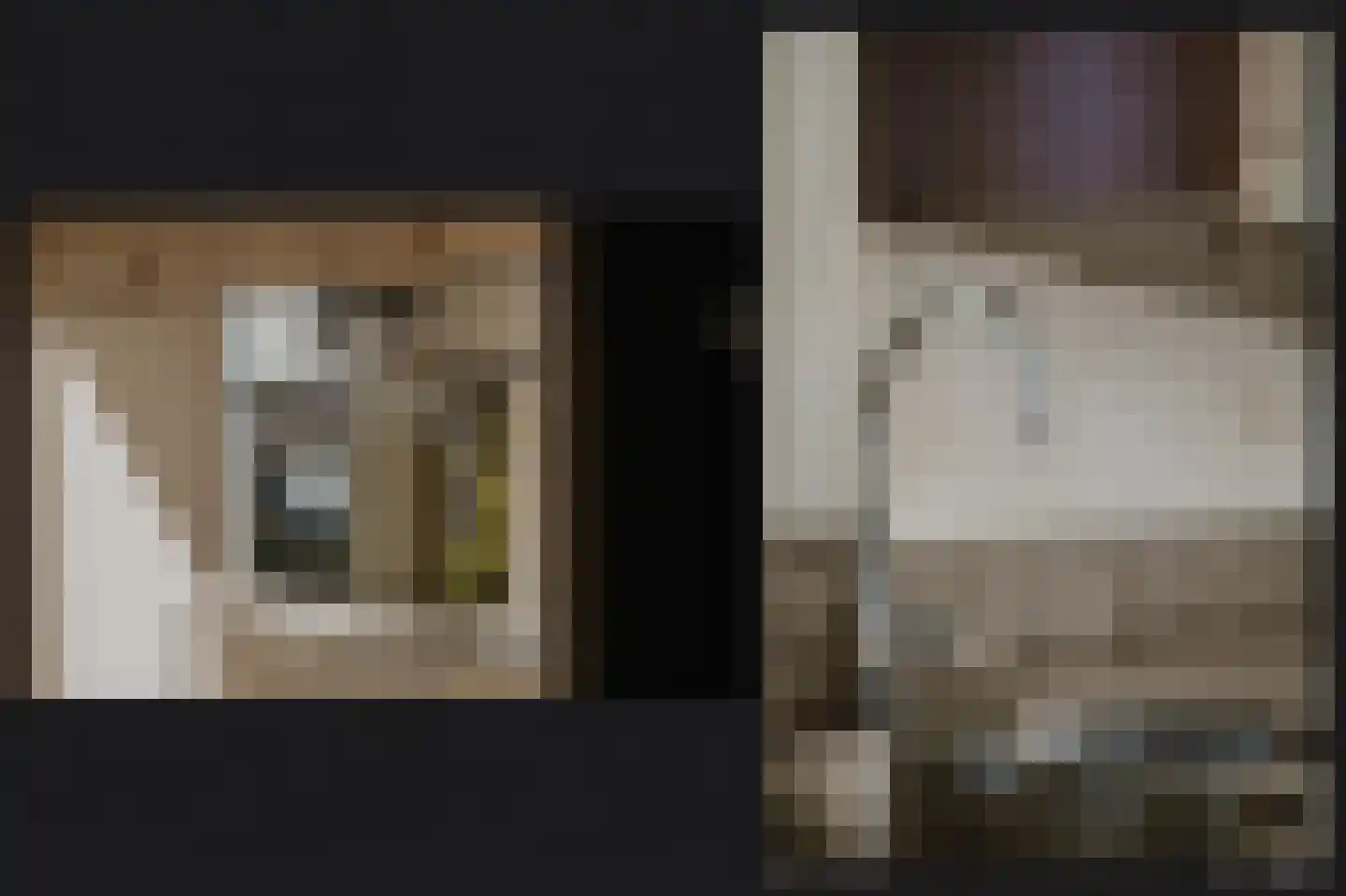 Meester van de Venstraat 12 Maasbommel thumbnail 12