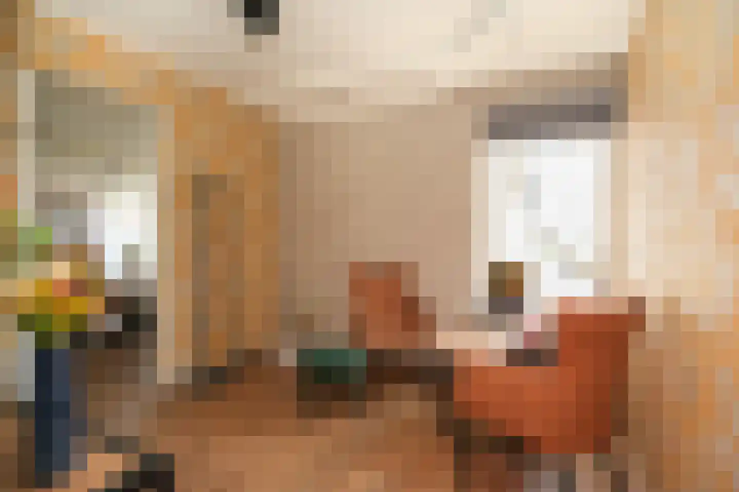 Meester van de Venstraat 12 Maasbommel thumbnail 17