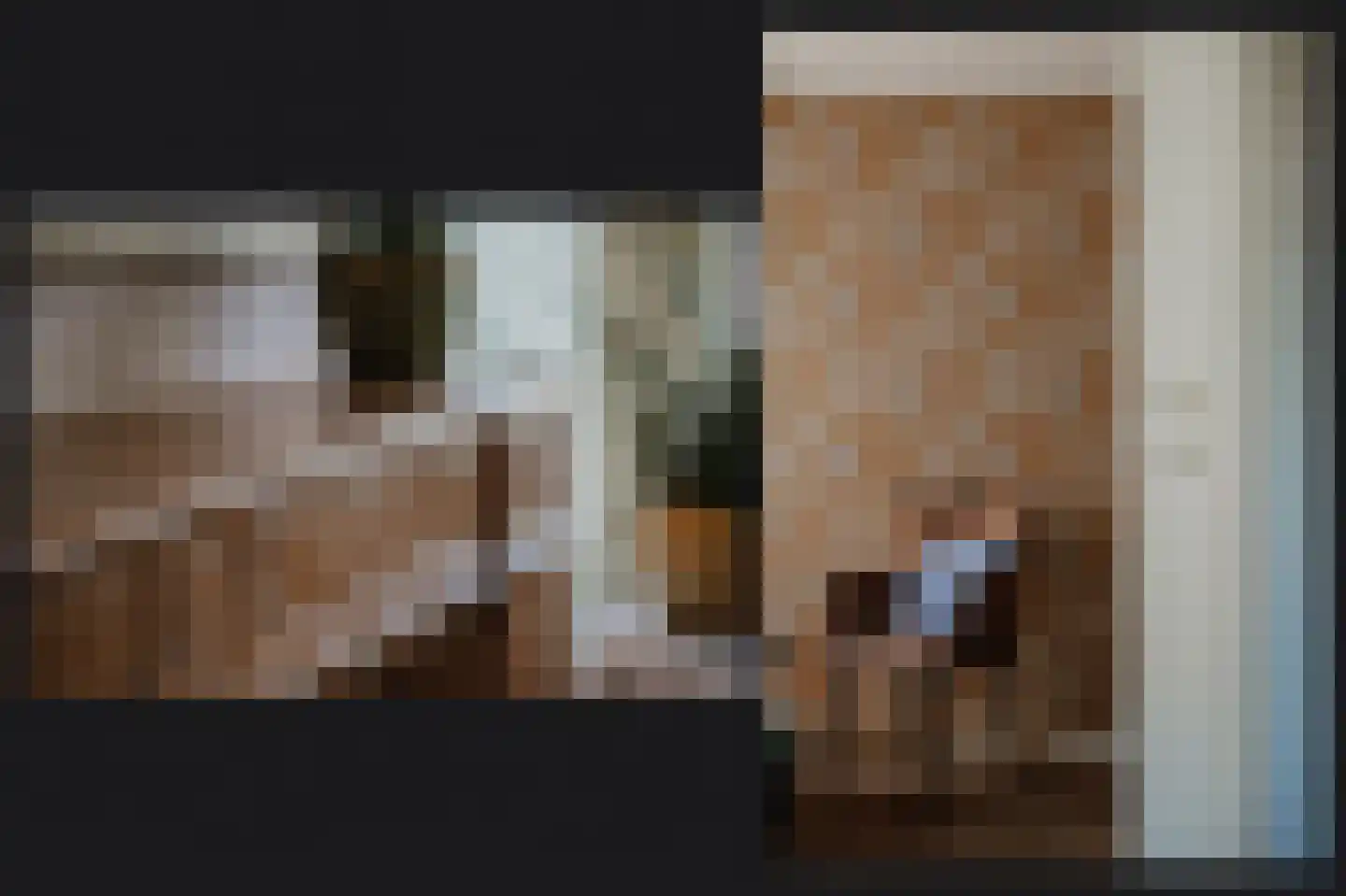 Meester van de Venstraat 12 Maasbommel thumbnail 18