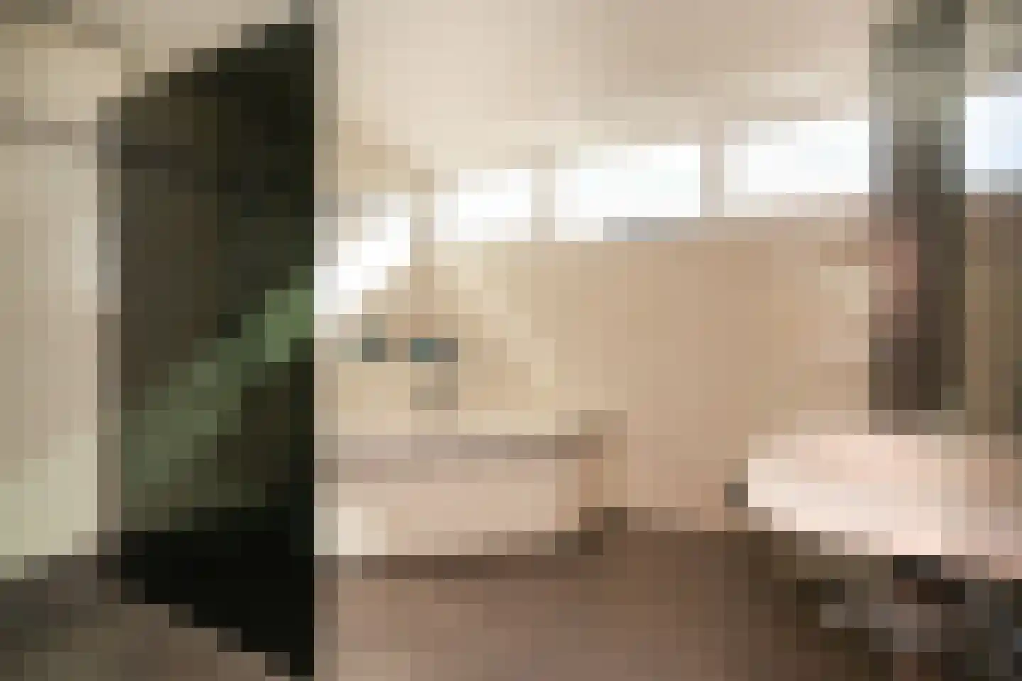 Meester van de Venstraat 12 Maasbommel thumbnail 27