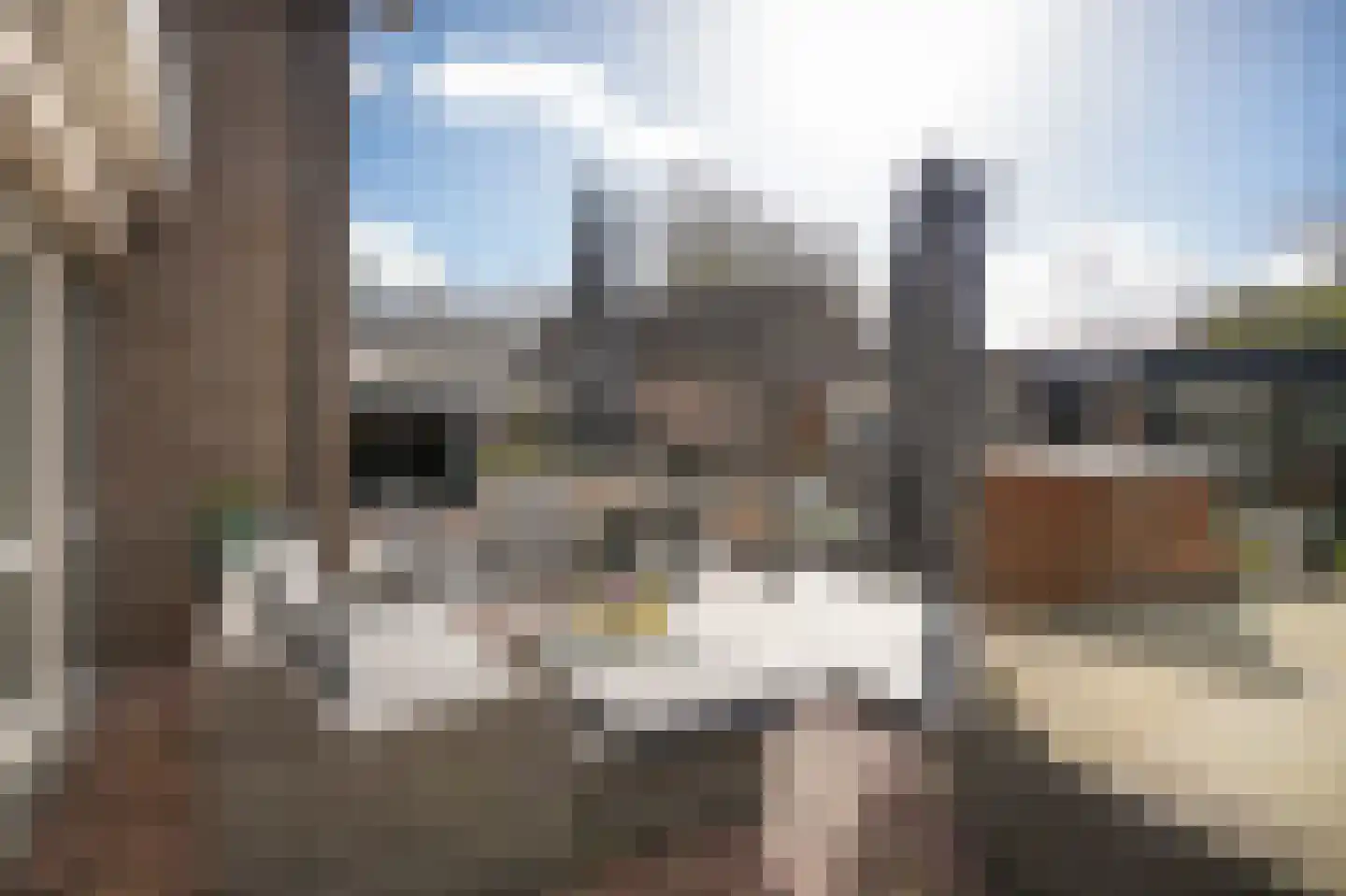 Meester van de Venstraat 12 Maasbommel thumbnail 37