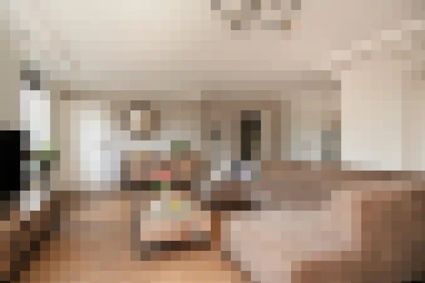 Meester van de Venstraat 12 Maasbommel thumbnail 7