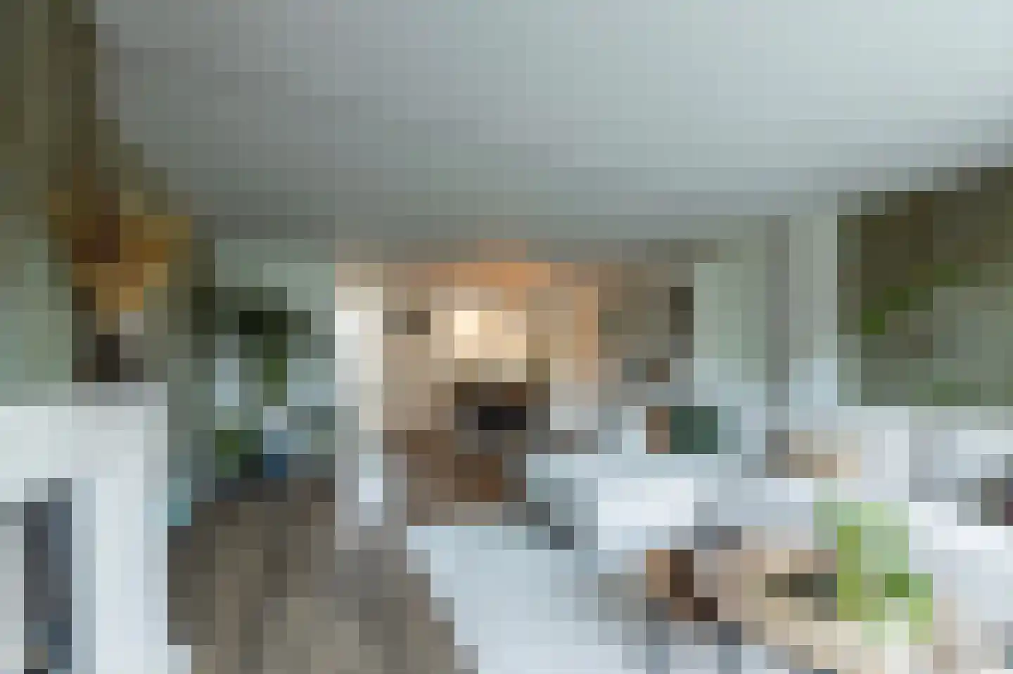 Meester van de Venstraat 32 Maasbommel thumbnail 15