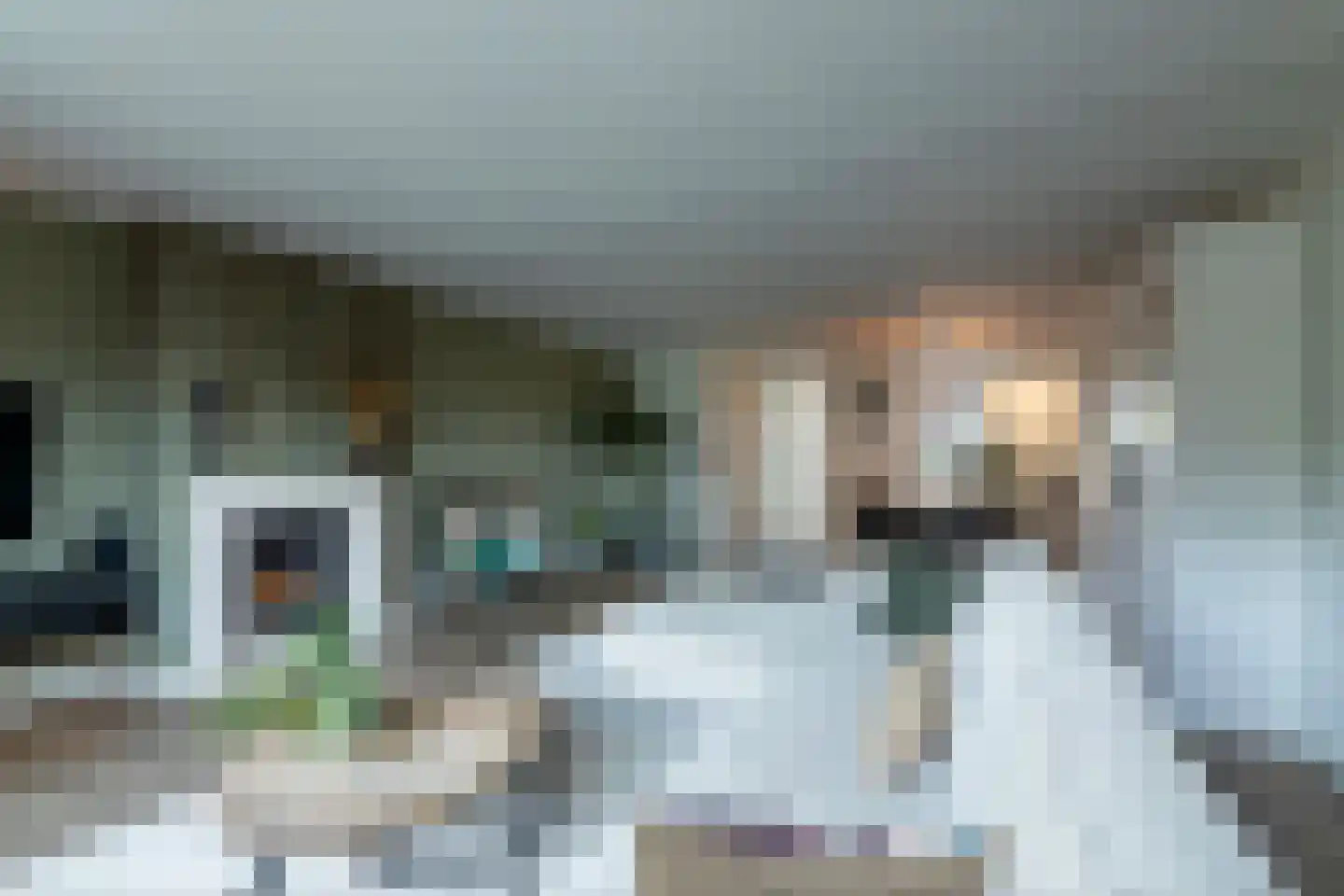 Meester van de Venstraat 32 Maasbommel thumbnail 16
