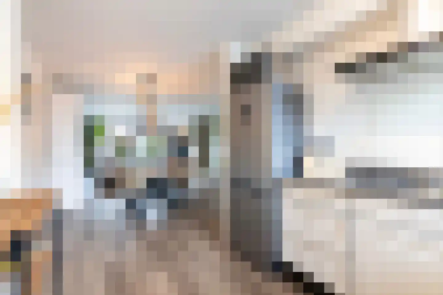 Meester van de Venstraat 32 Maasbommel thumbnail 20