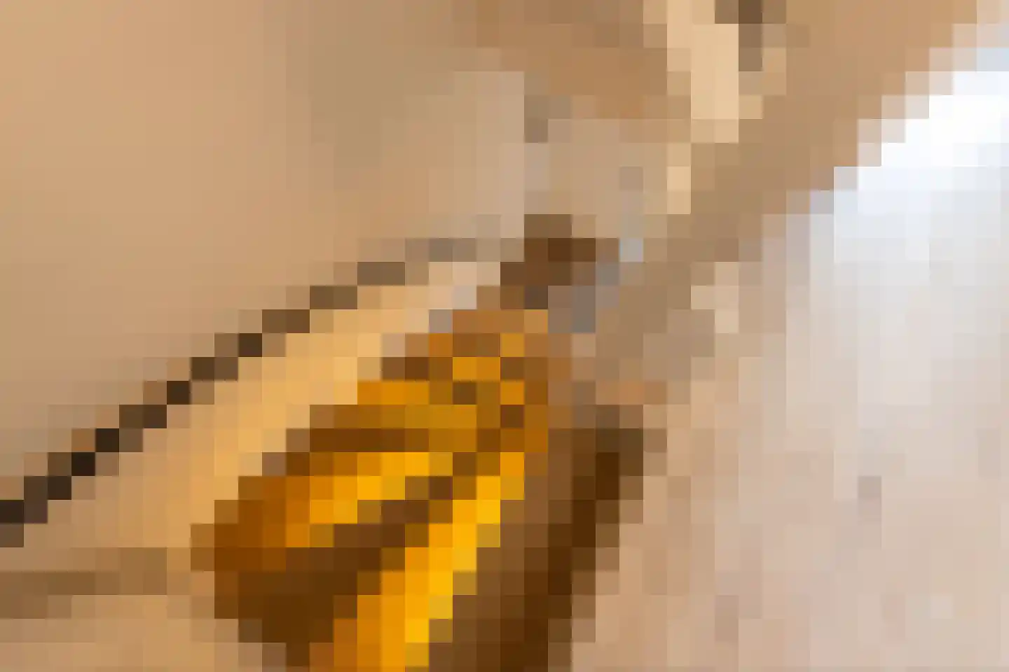 Meester van de Venstraat 32 Maasbommel thumbnail 27