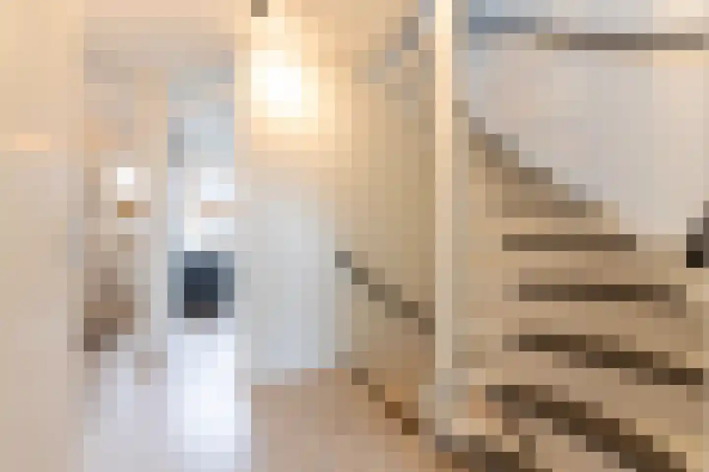 Meester van de Venstraat 32 Maasbommel thumbnail 28