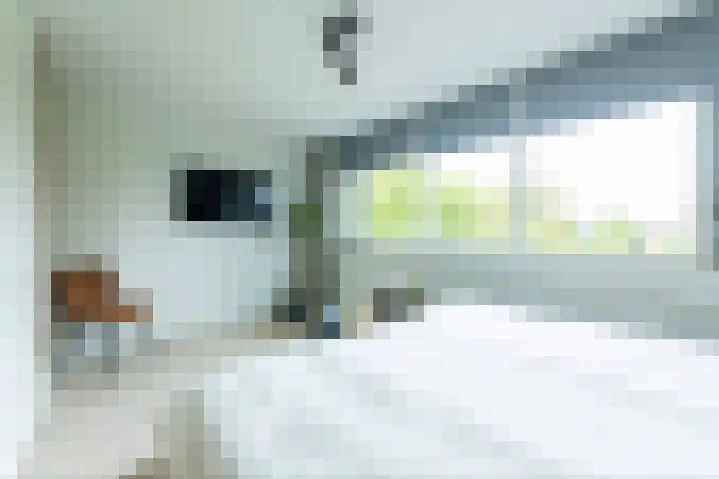 Meester van de Venstraat 32 Maasbommel thumbnail 32