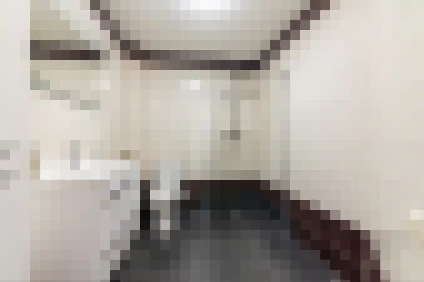 Meester van de Venstraat 32 Maasbommel thumbnail 34