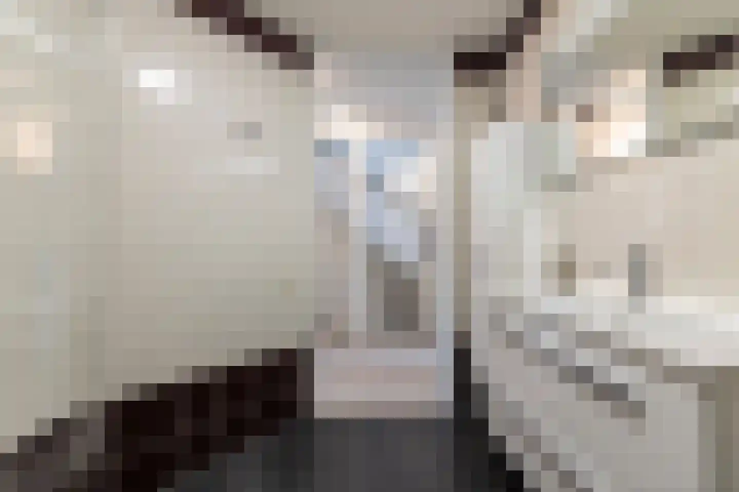 Meester van de Venstraat 32 Maasbommel thumbnail 35