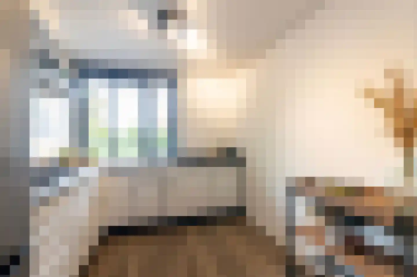 Meester van de Venstraat 32 Maasbommel thumbnail 4