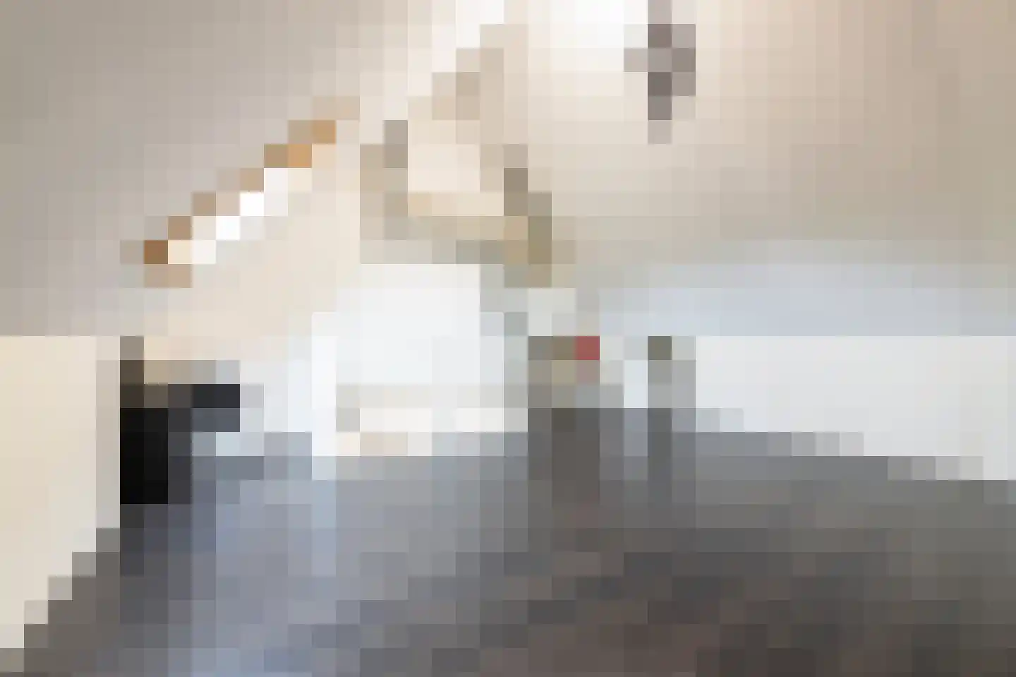 Meester van de Venstraat 32 Maasbommel thumbnail 43