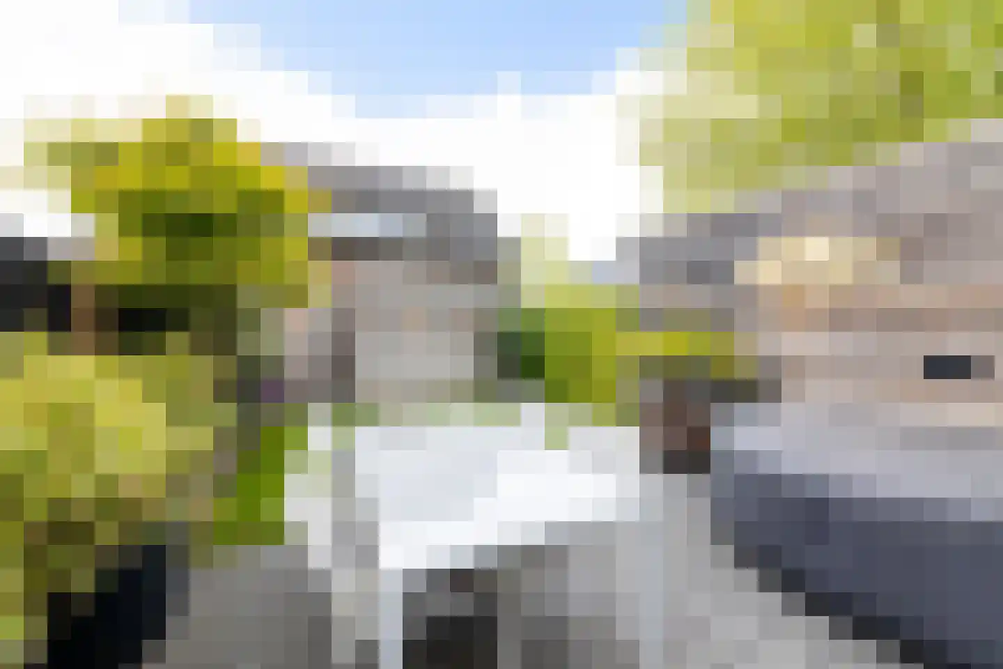Meester van de Venstraat 32 Maasbommel thumbnail 47