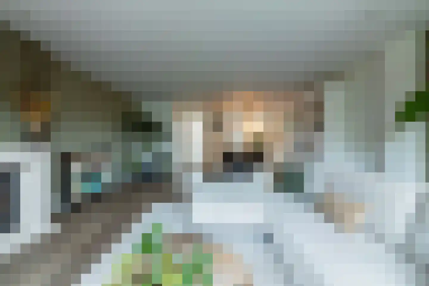 Meester van de Venstraat 32 Maasbommel thumbnail 6