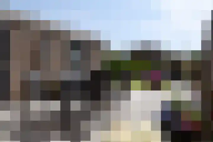Meester van der Meistraat 46 Haulerwijk thumbnail 29