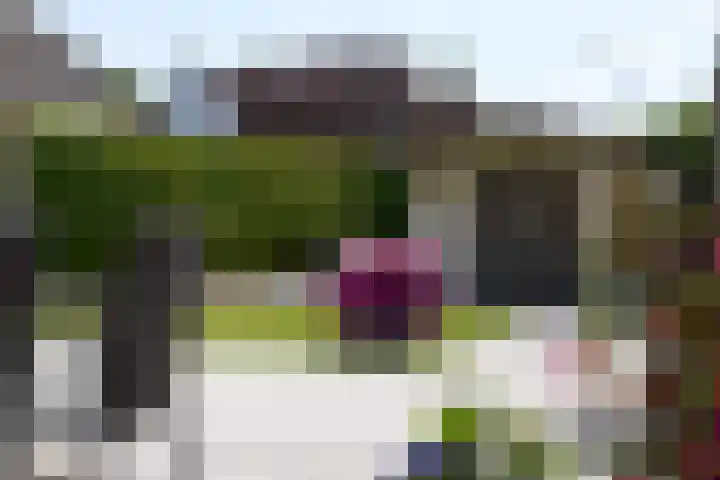 Meester van der Meistraat 46 Haulerwijk thumbnail 30