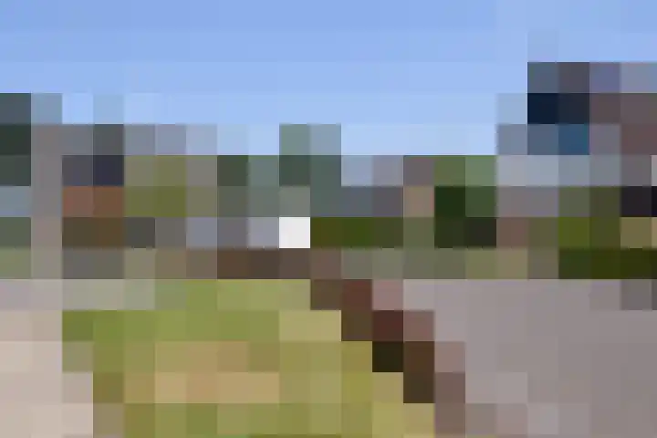 Meester van der Meistraat 46 Haulerwijk thumbnail 36