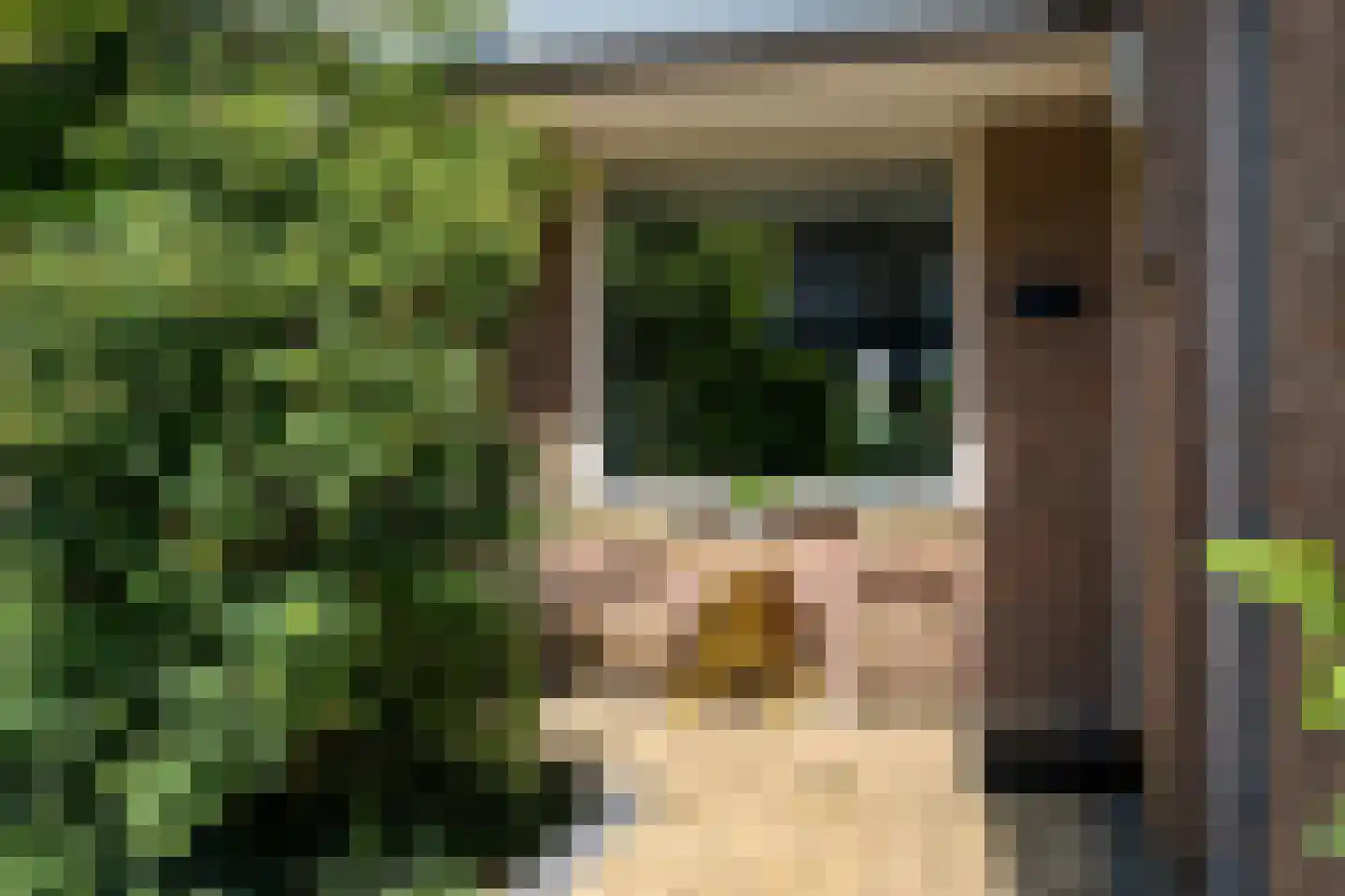 Meester van Dijkelaan 13 Lopik thumbnail 8