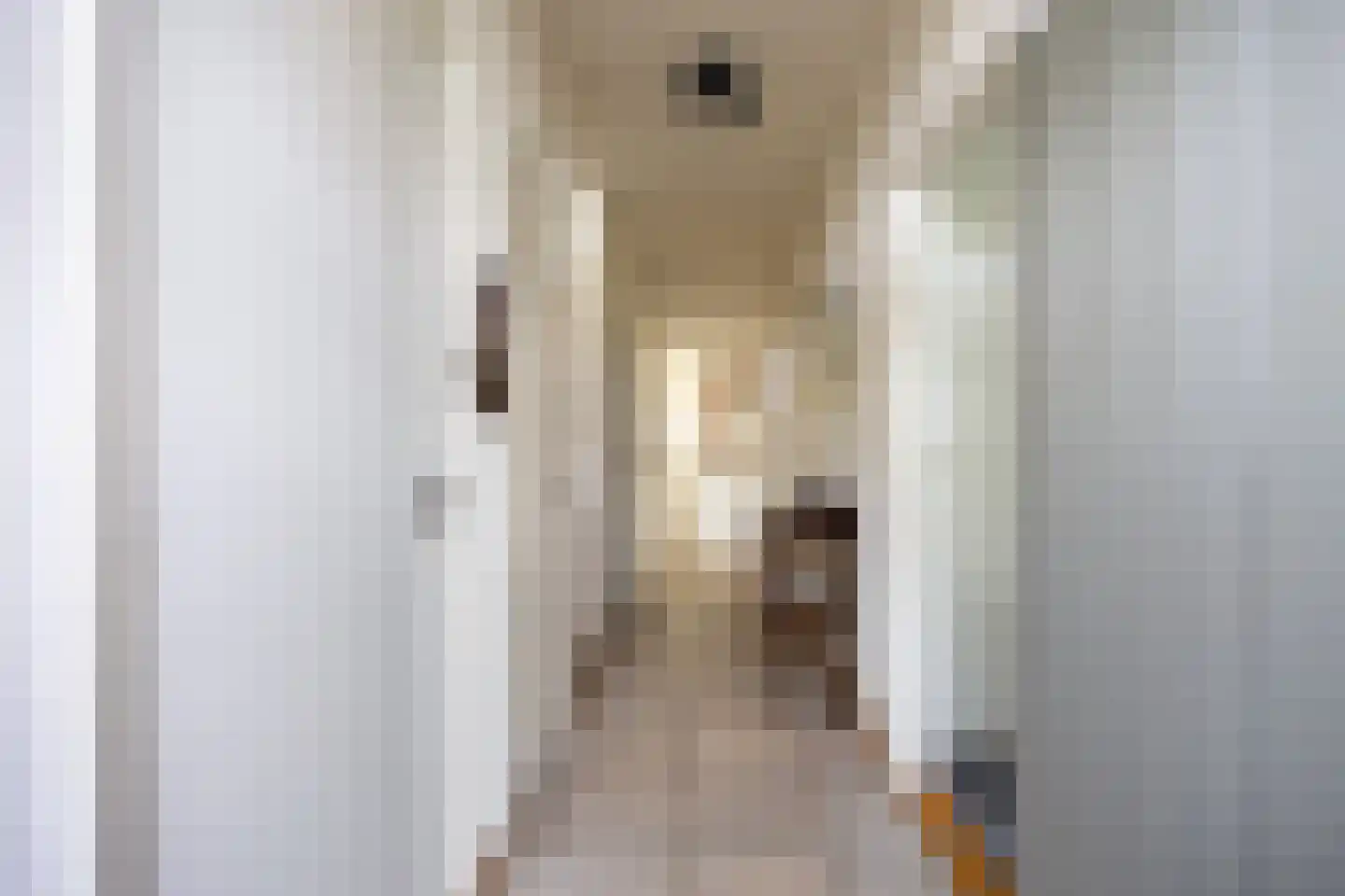 Meester van Ekstraat 1 Haulerwijk thumbnail 14