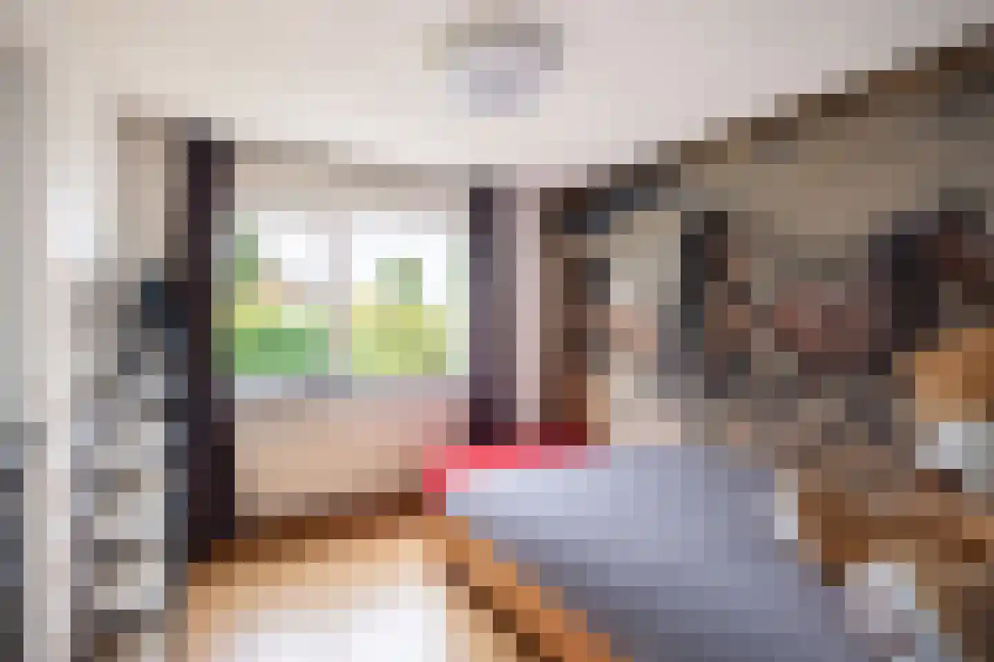 Meester van Ekstraat 1 Haulerwijk thumbnail 29