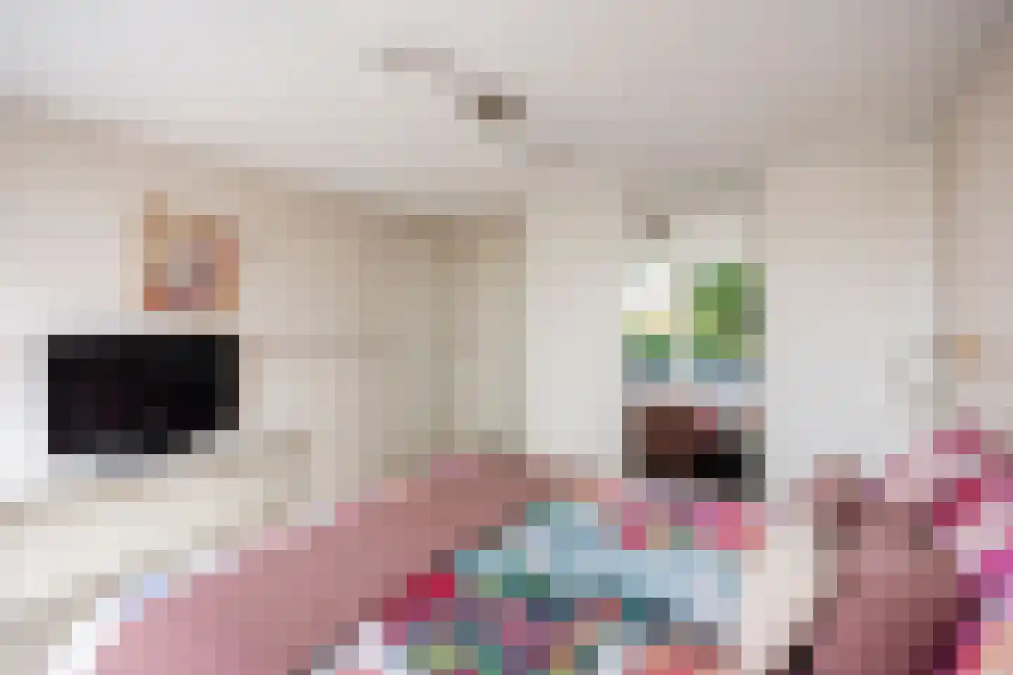 Meester van Ekstraat 1 Haulerwijk thumbnail 32
